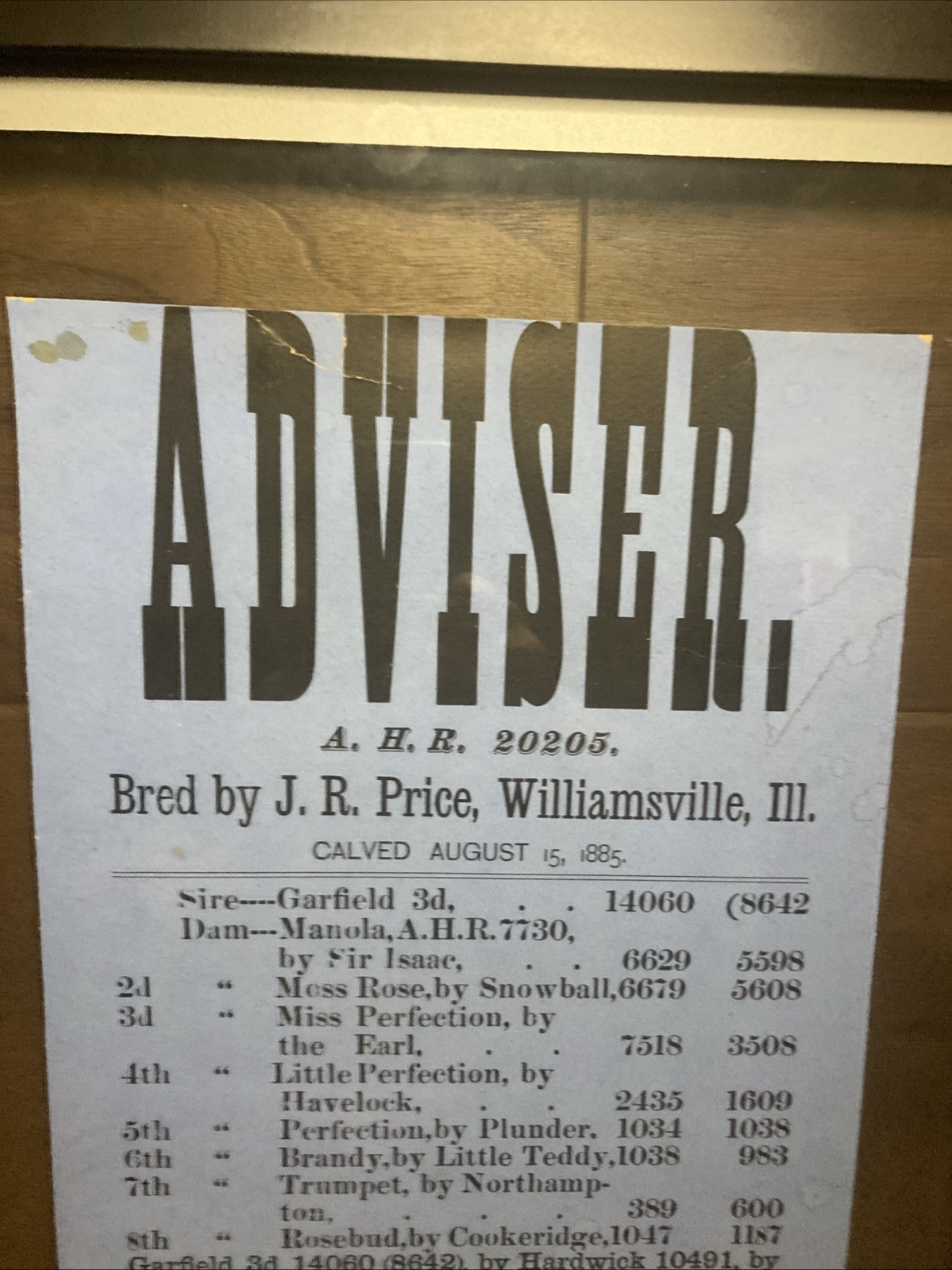 Framed 1885 Sale Bill Cattle Sale