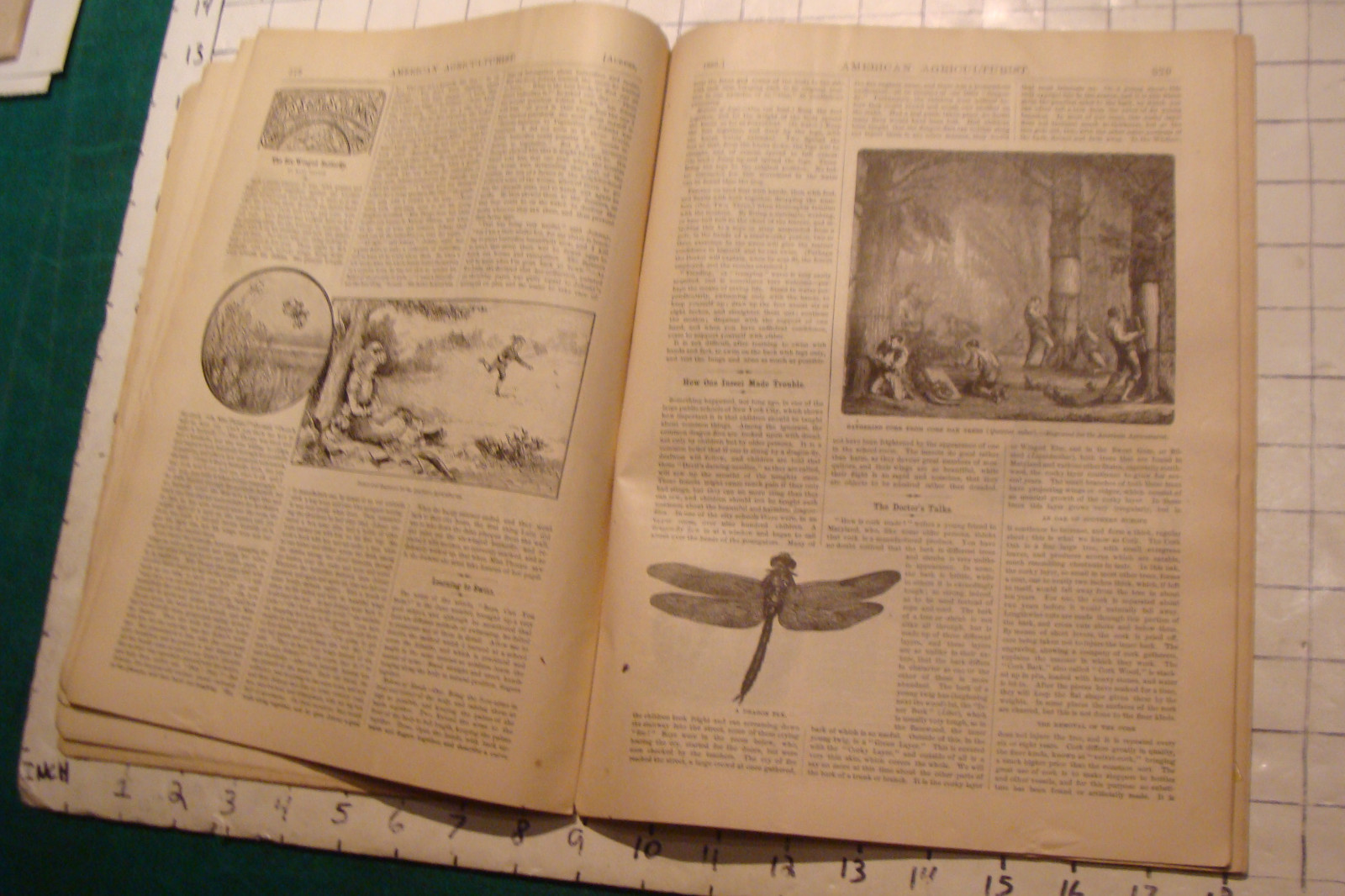 Vintage American Agriculturist 1883 august; great vignettes, horses running