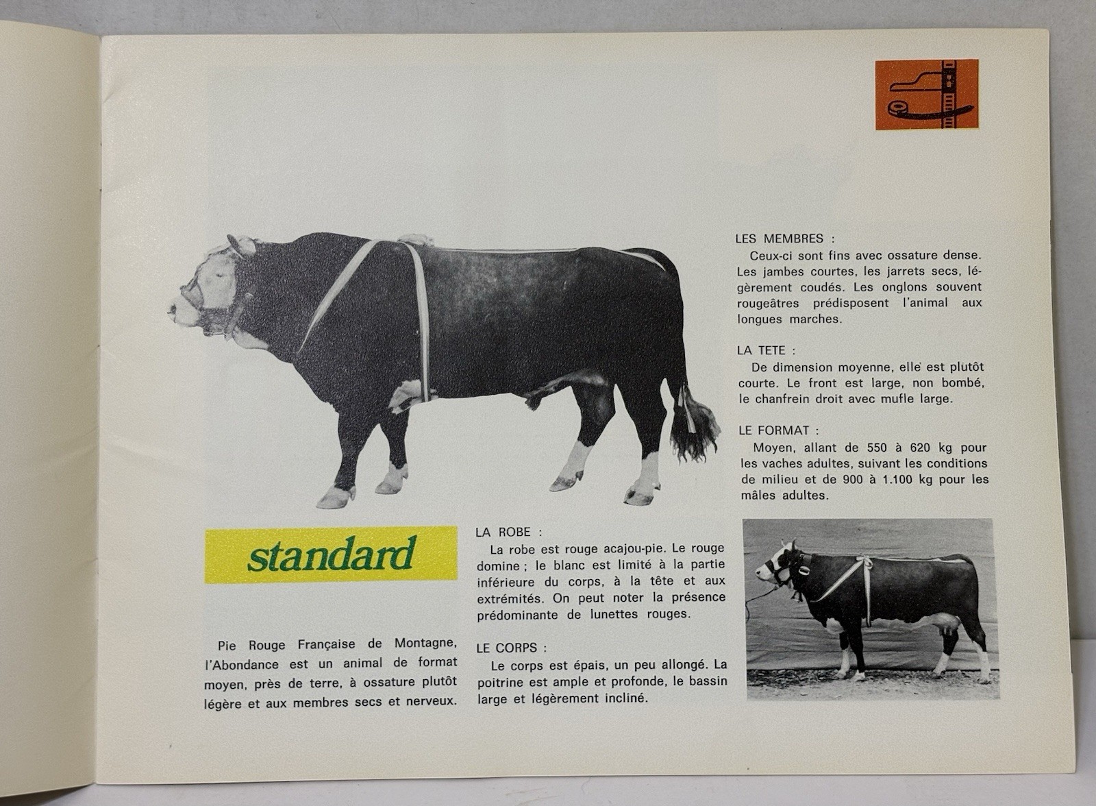 Vintage 1960s Abondance Cattle Booklet Brochure – French Dairy Breed