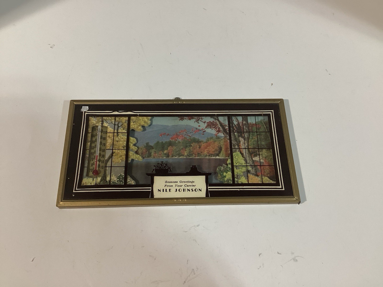 Vntg Nile Johnson Thermometer Decommissioned