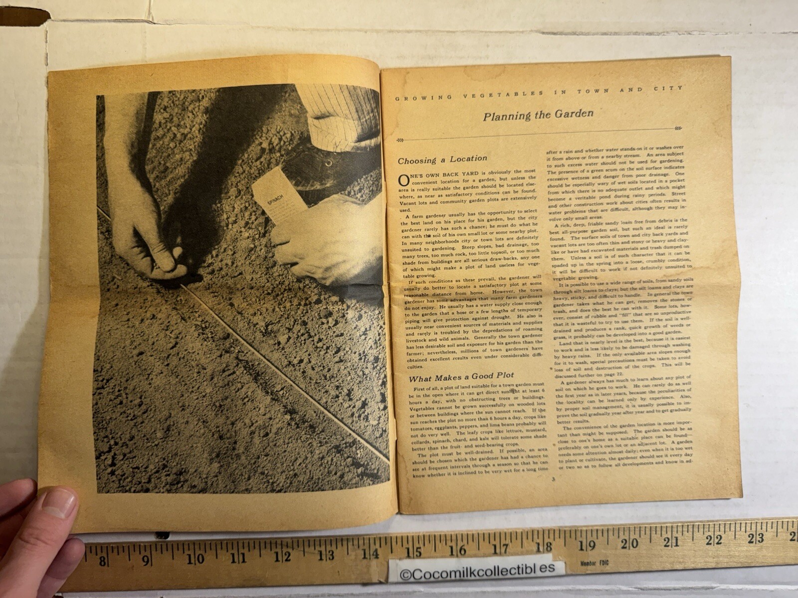 Vintage 1951 United States Department of Agriculture Growing Vegetables Brochure