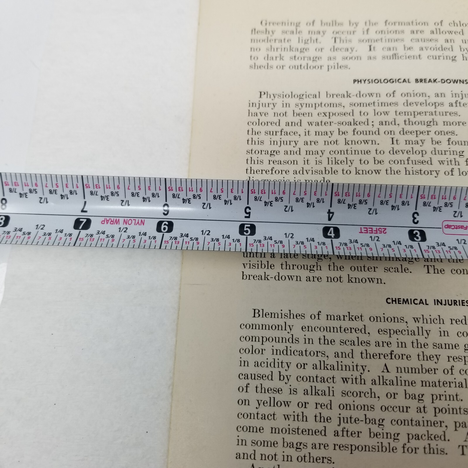 Onion Diseases Control 1947 Farmers&rsquo; Bulletin Booklet 1060 USDA Photos Charts