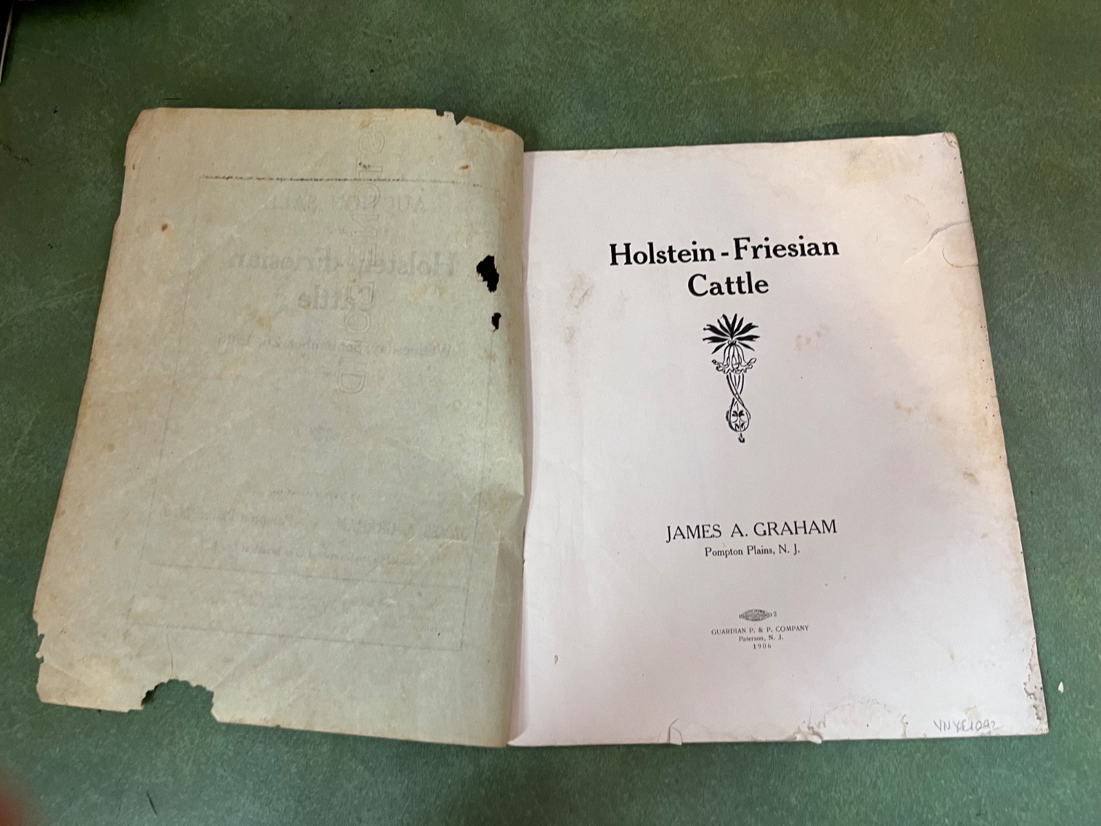 Original 1906 Holstein Friesian Cattle Auction Sales Catalog Pompton Plains NJ