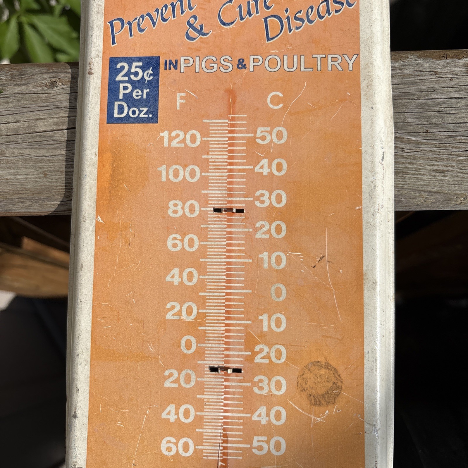 Vintage Pruett’s Pig Powders Thermometer Metal Tin Sign As Is Needs Thermometer