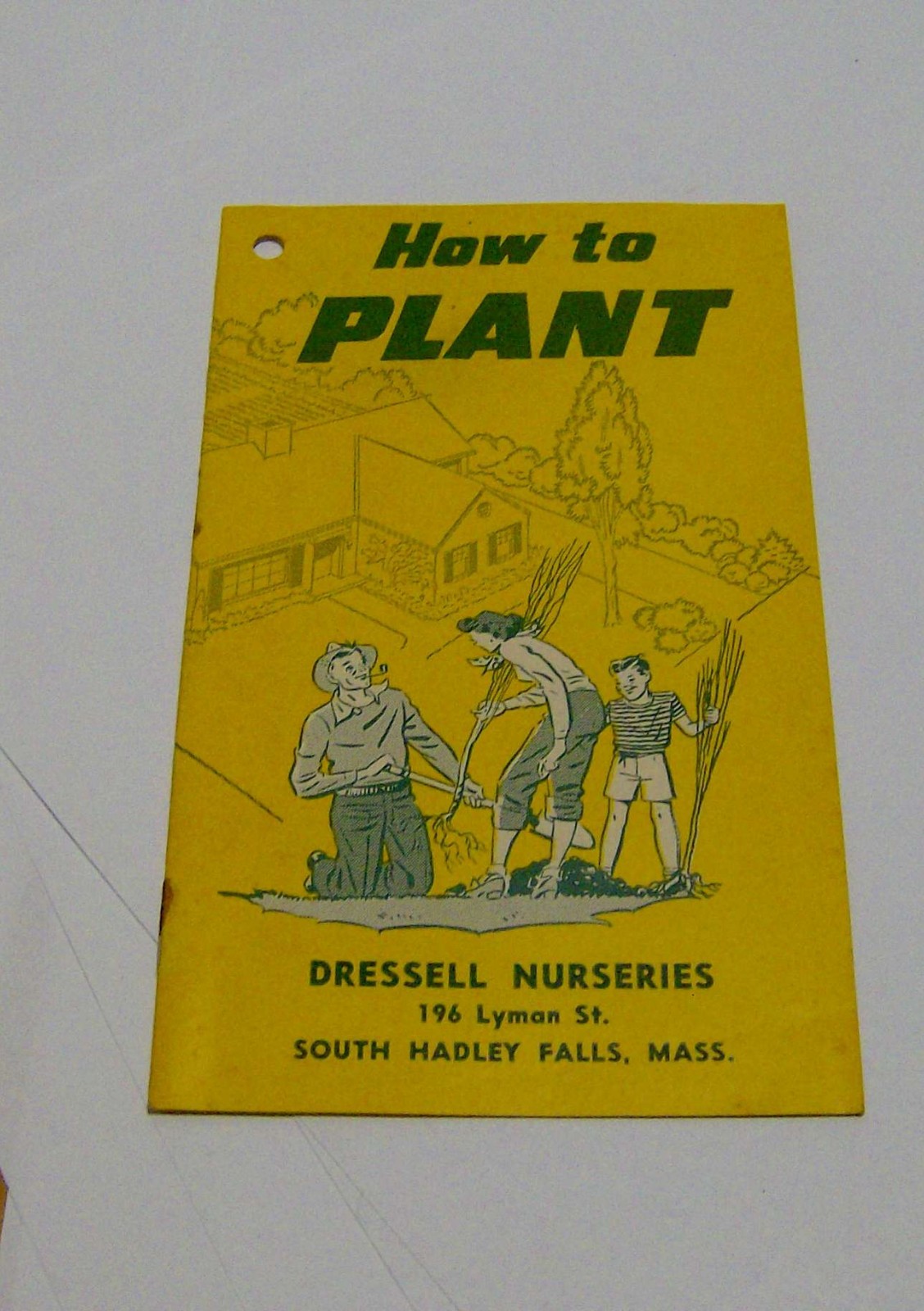 vintage 1950s DRESSELL NURSERIES South Hadley Massachusetts booklet HOW TO PLANT