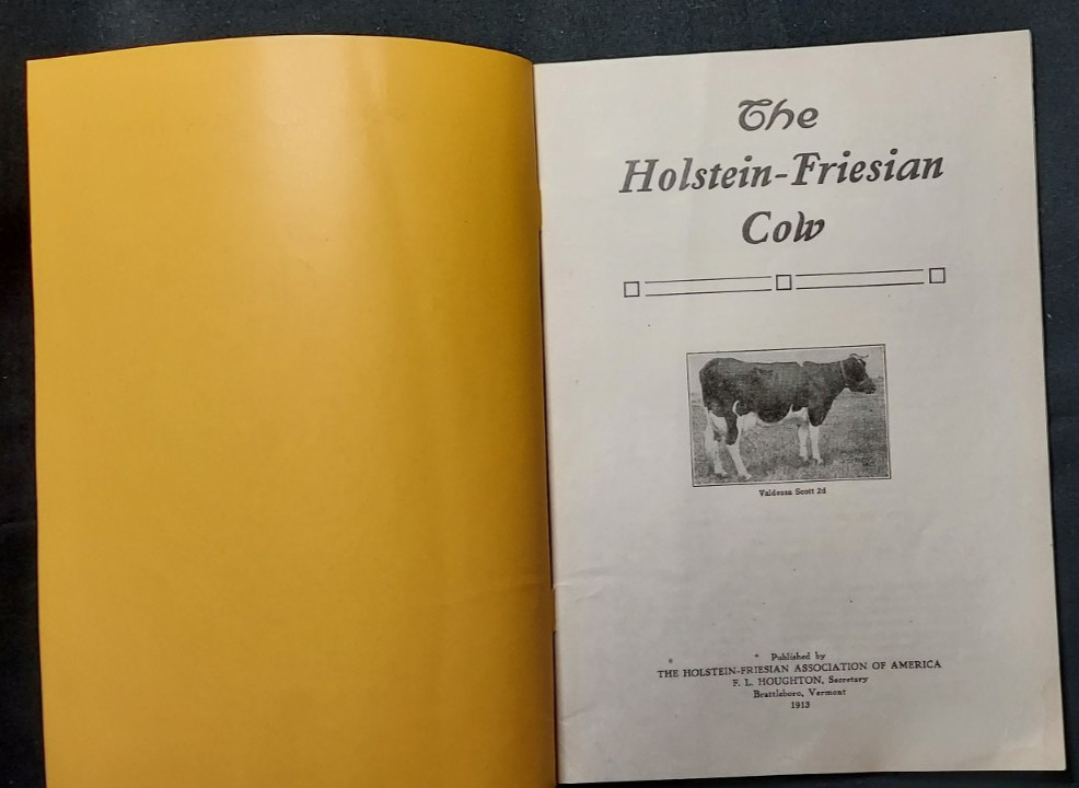 1913 Bulletin Holstein Friesian Association America Brattleboro Vermont Cow