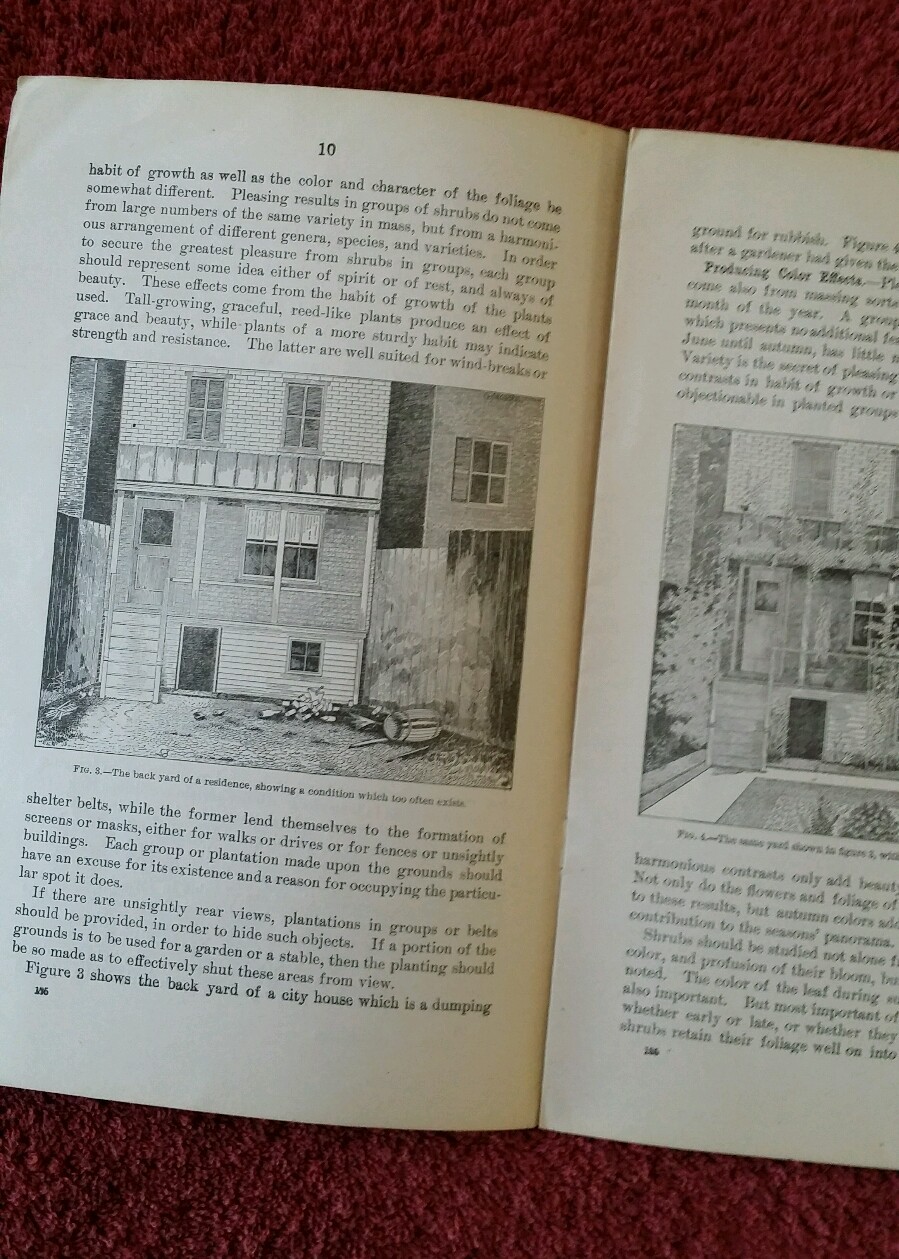 U.S. Department of Ag Vintage 1904 Farmers&rsquo; Bulletin #185 Beautify Home Grounds