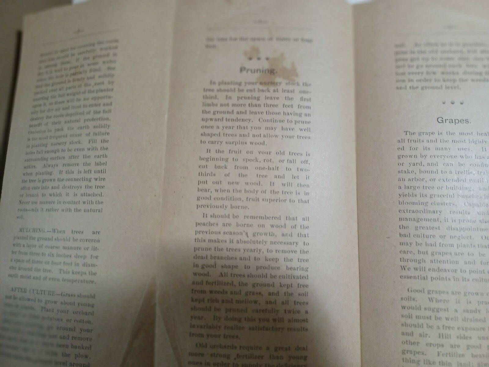 early 1900s Porter&rsquo;s Tree Wash brochure, West Point, Mississippi MS, rare