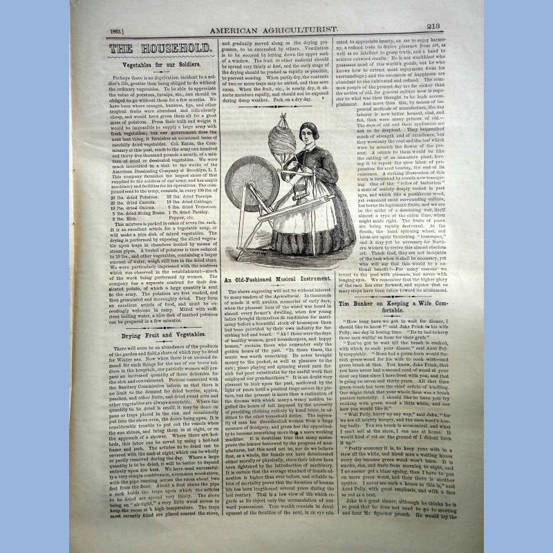 1863 JUL antique AMERICAN AGRICULTURIST farm garden household orange judd