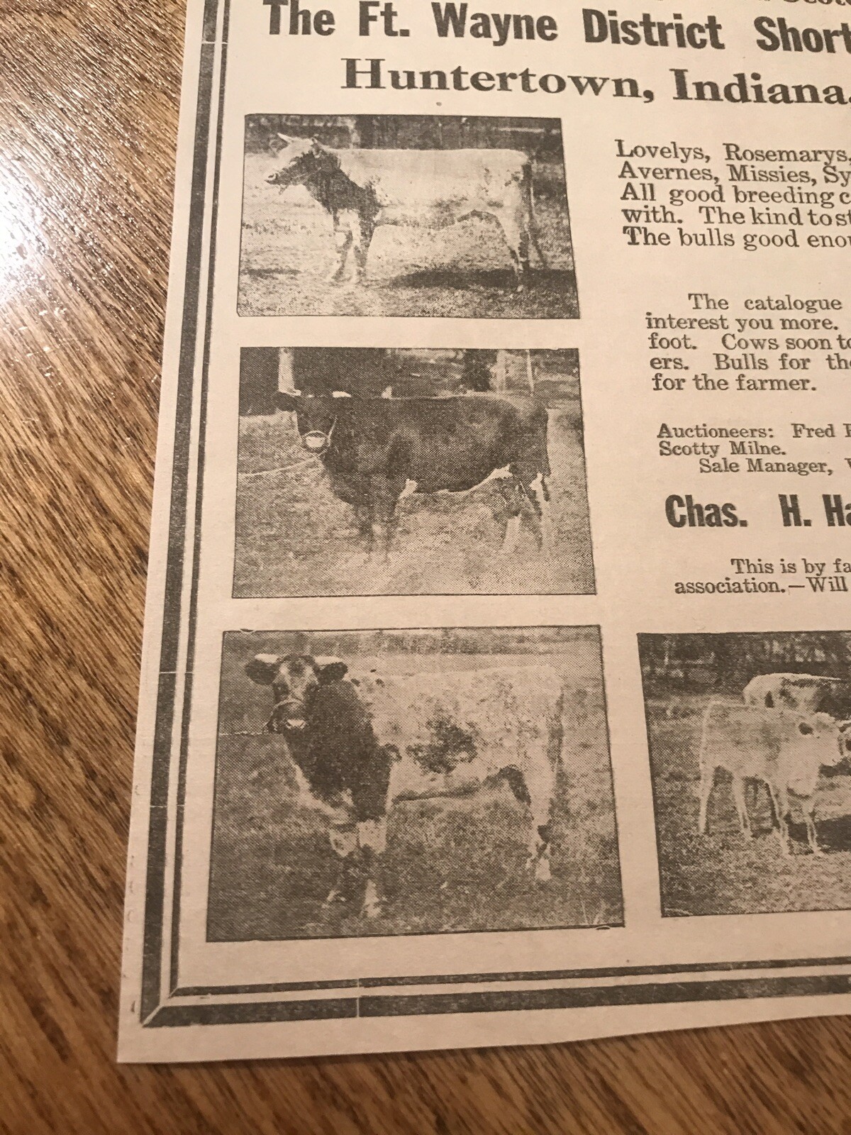 1918 Cattle Livestock Public Sale – Huntertown – Indiana – Cow Advertising