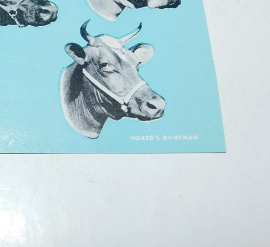 NEAT VINTAGE HOARDS DAIRYMAN POSTCARD WITH COW IMAGES