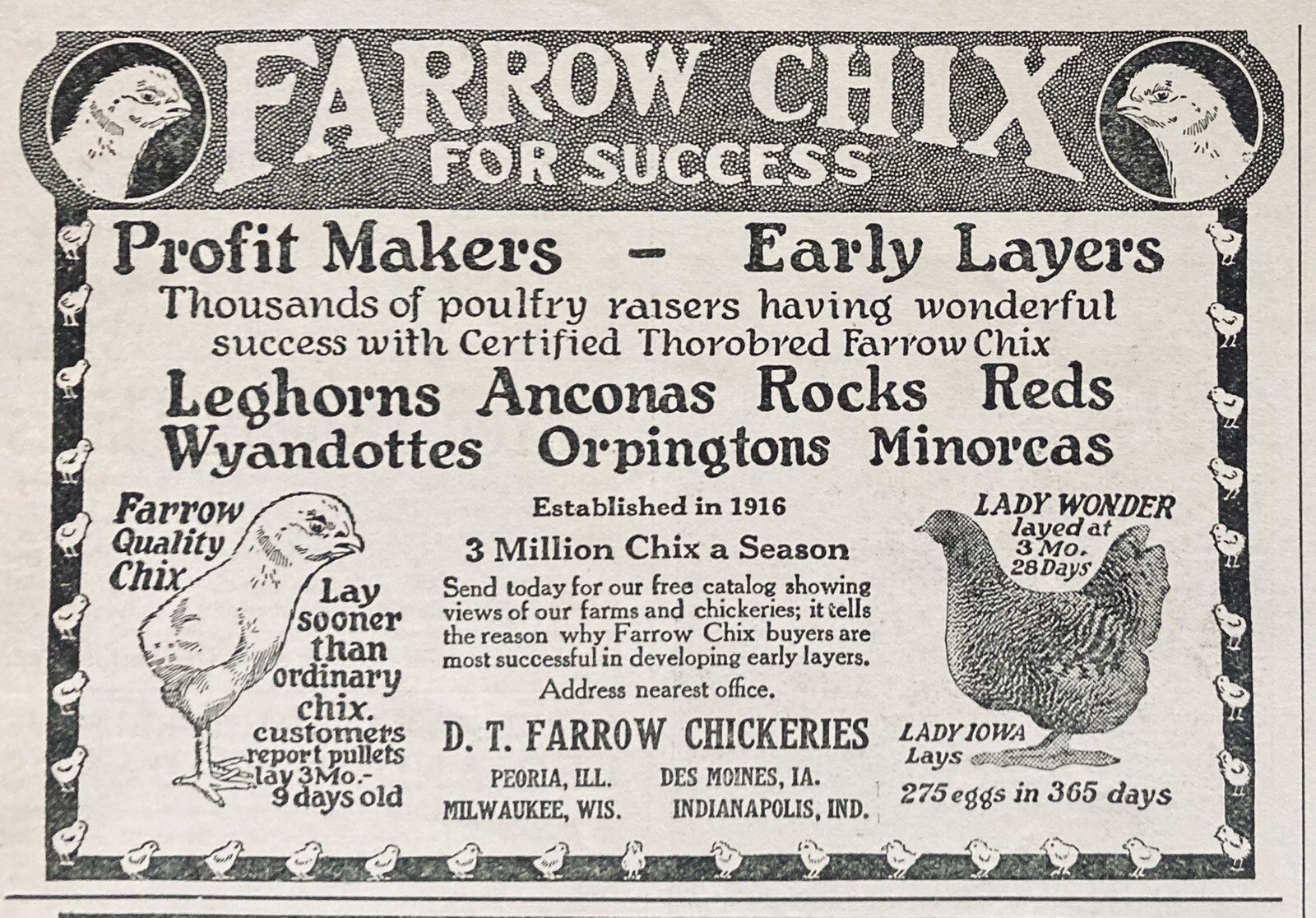 1925 AD.(XH44)~D.T. FARROW CHICKERIES, PEORIA, ILL. FARROW CERTIFIED BABY CHICKS