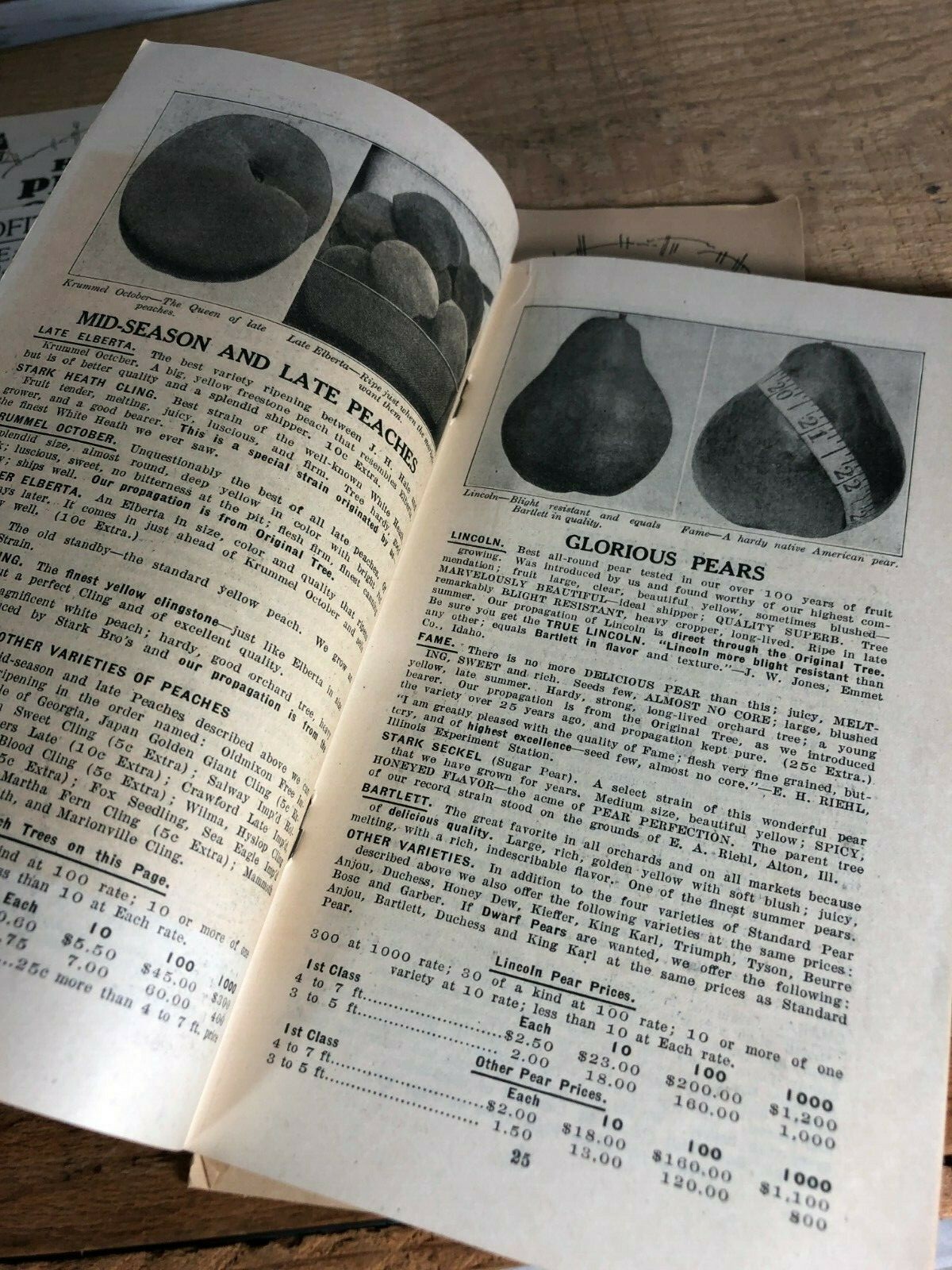 4 Vintage 1930s Stark Bro&rsquo;s Nurseries Orchard Fruit Trees Brochures Catalogs
