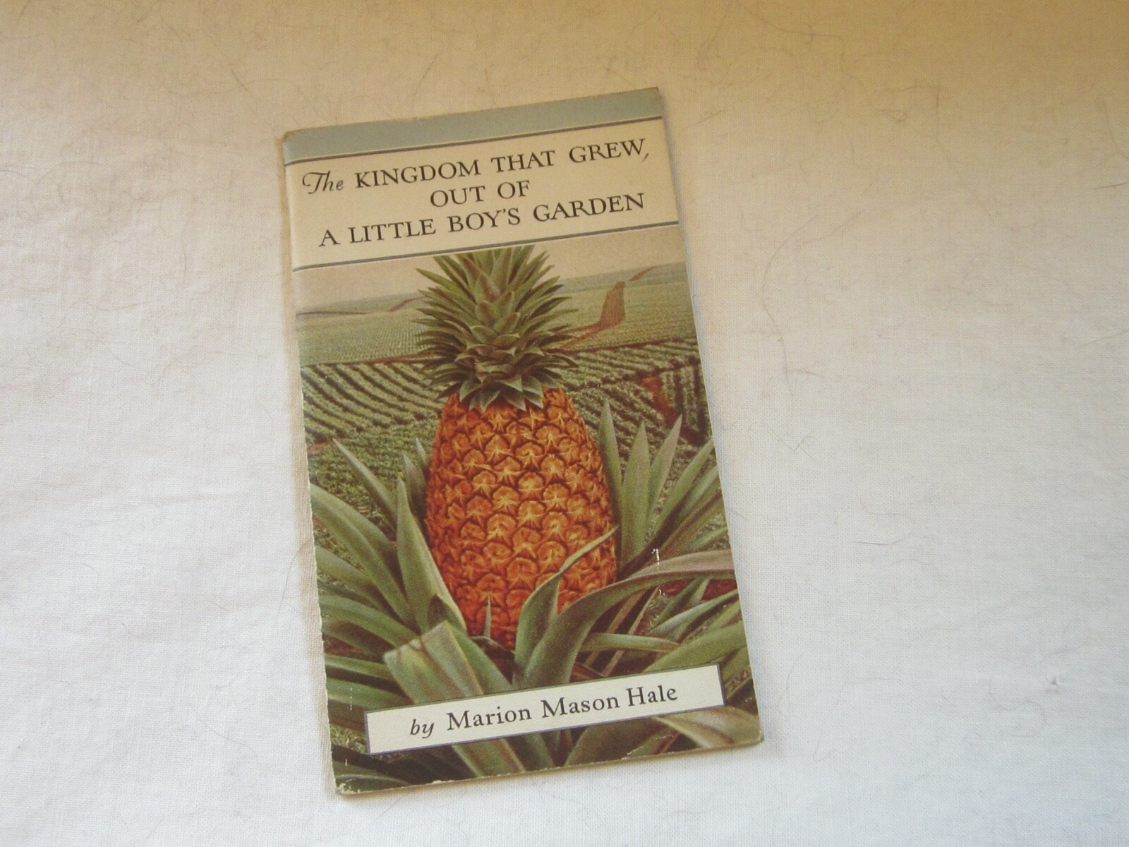 1929 Dole Hawaiian Pineapple Company Pamphlet Book Kingdom Grew from Boys Garden