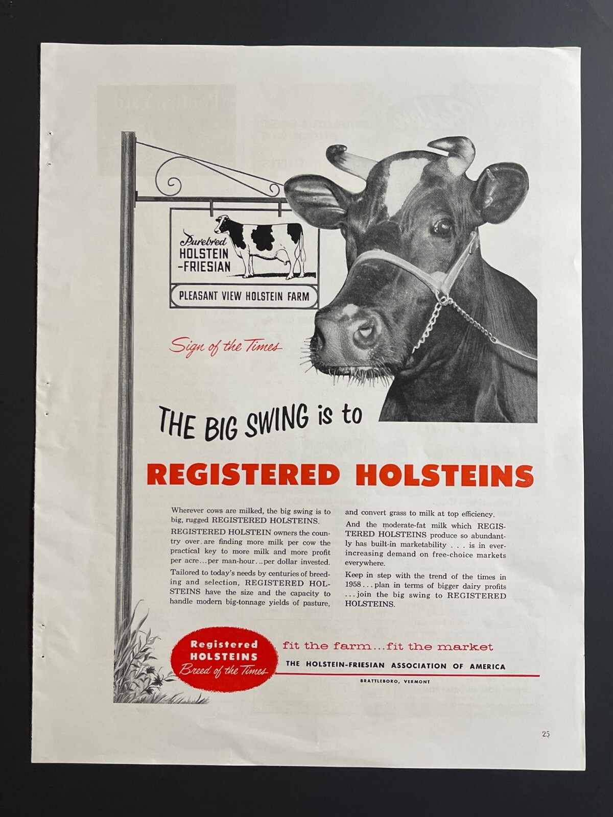 1950s « Milk » Registered Holsteins -Original Print Advertisement (9.5in x 13in)