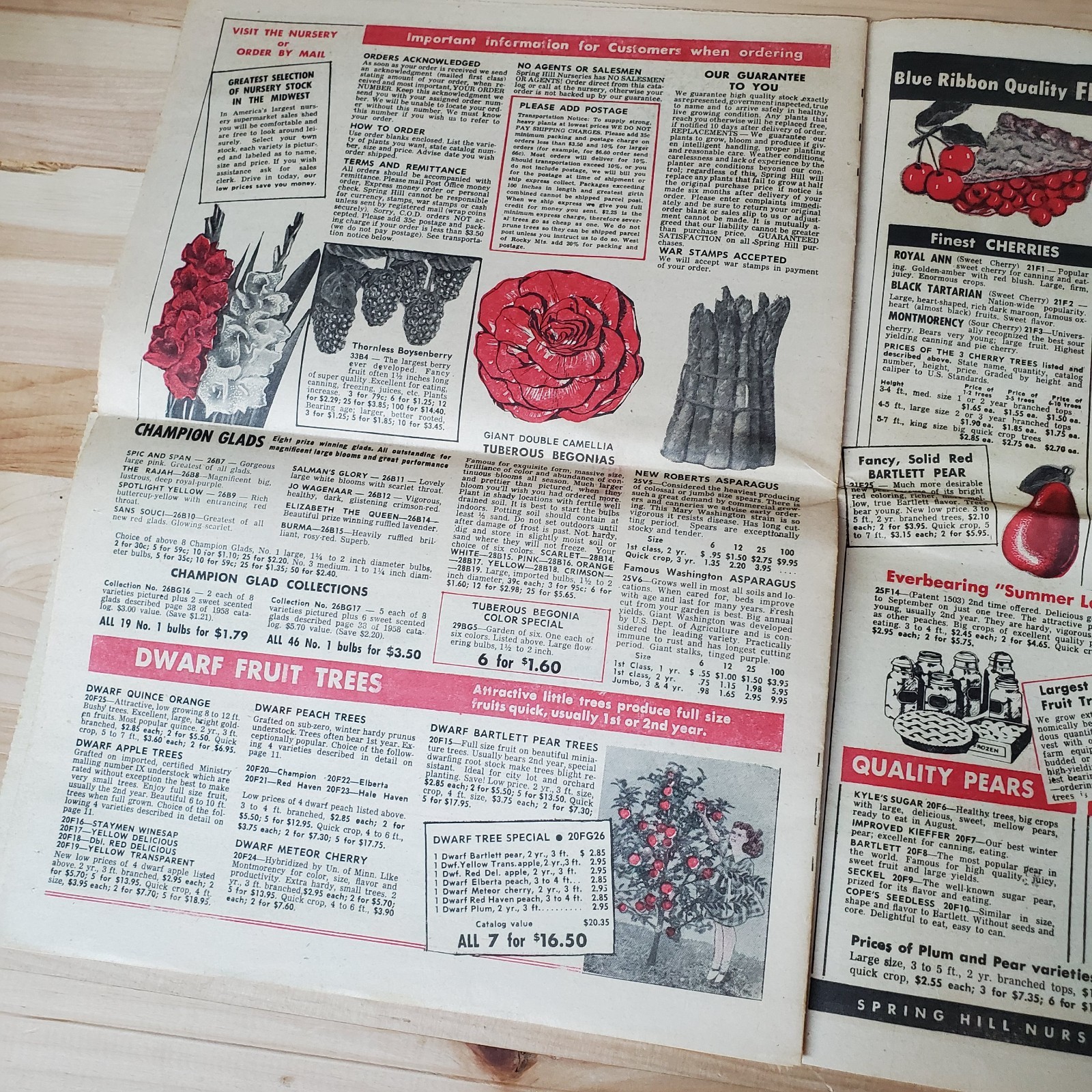VTG spring 1958 Spring Hill Nurseries catalog; Tipp City, OH 109th Anniversary