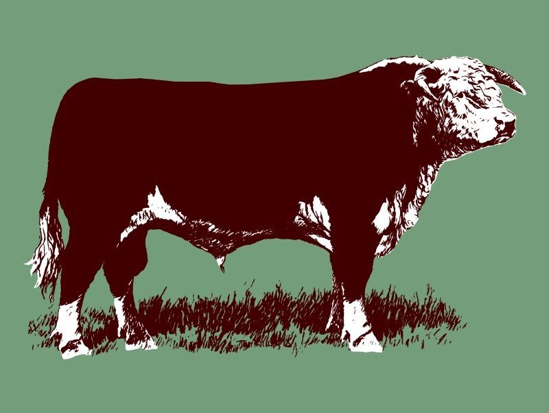 Texas Hereford Association NEW Sign: 15×20&Prime; USA Steel