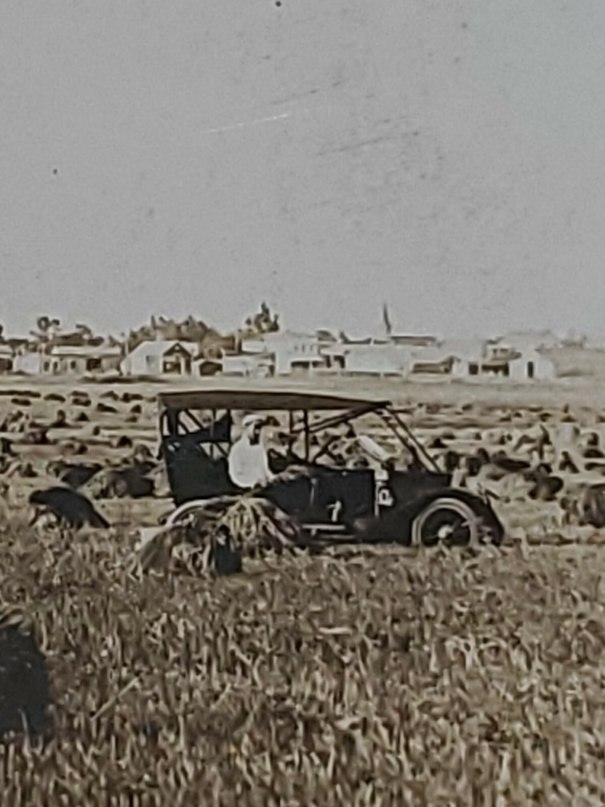 Vntg 1890-1900 Farming RPPC Agricultural Postcard Early Model T? Ford Chrysler
