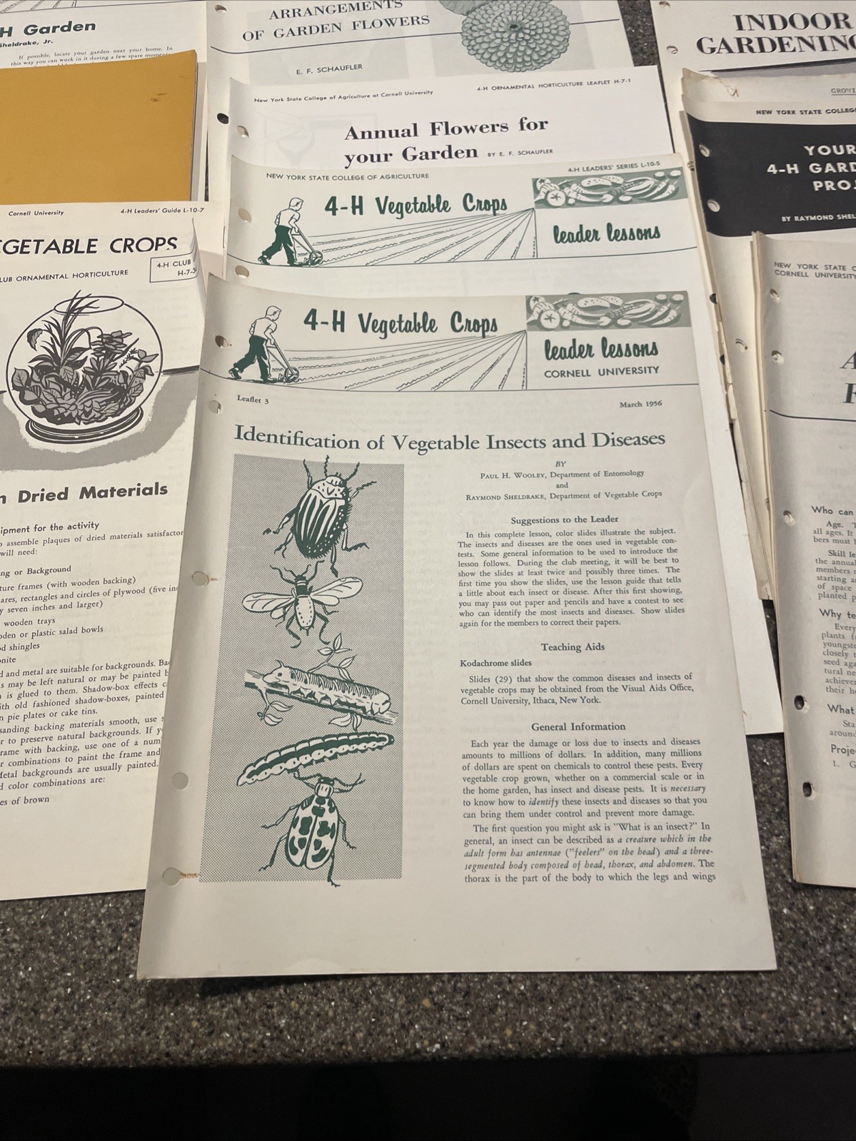 Large Lot Vintage 4H And Cornell Cooperative Extension Gardening Brochures.