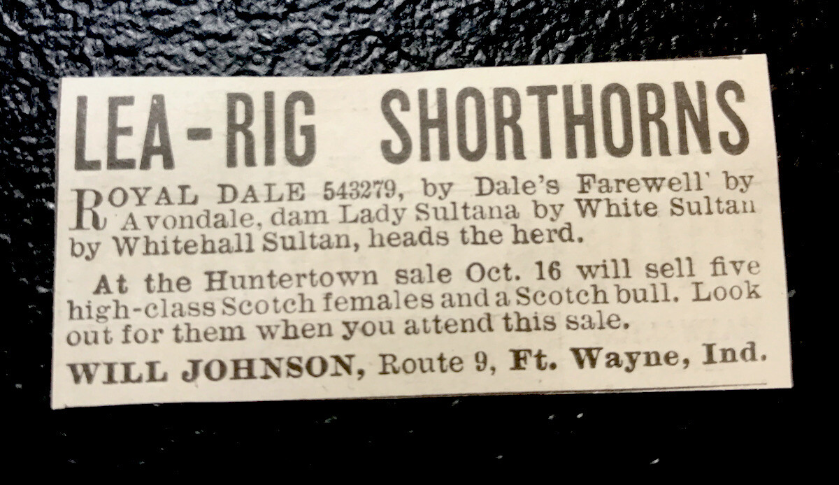 1919 Will Johnson Cattle Advertising – Fort Wayne – Indiana – Cow – Farm