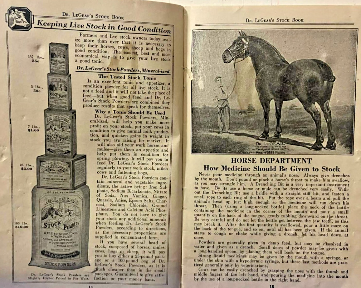 1936 Dr LeGears Live Stock Manual Cows Sheep Hogs Horses