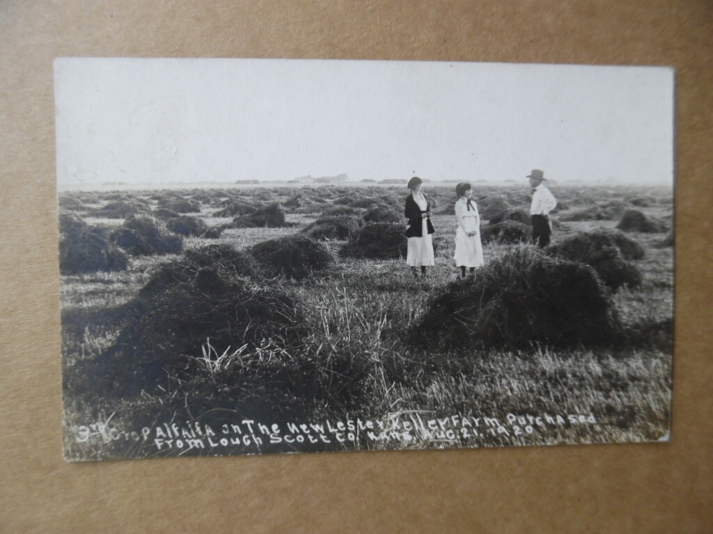 1920 Alfalfa Farm Land Promo Promoter Real Photo Postcard Scott County Kansas