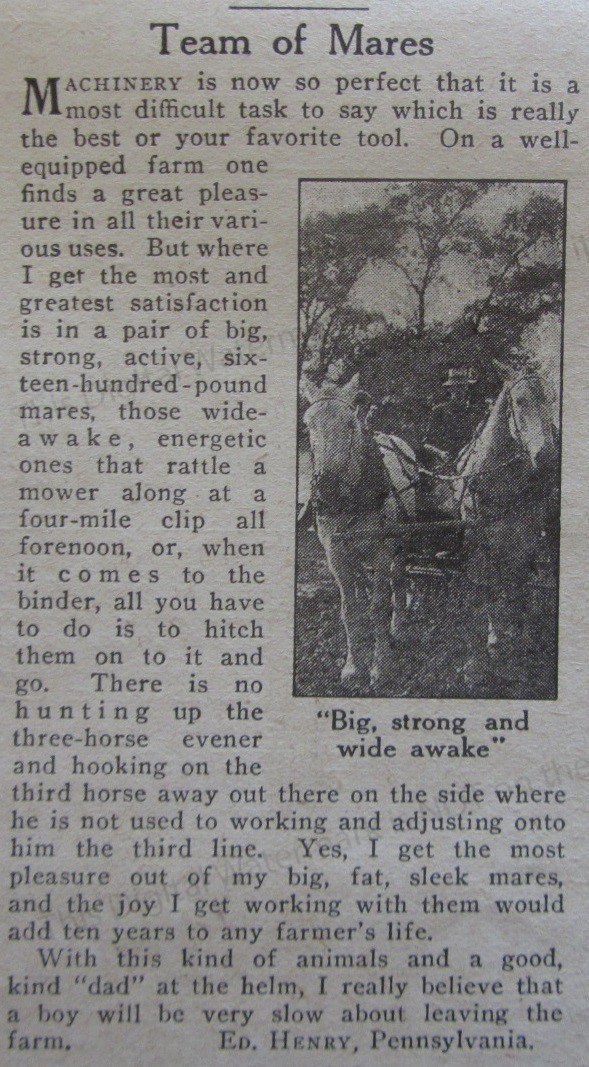 1911 Best Tool I Use on Farm ARTICLE * TEAM OF MARES Ed Henry Pennsylvania Photo