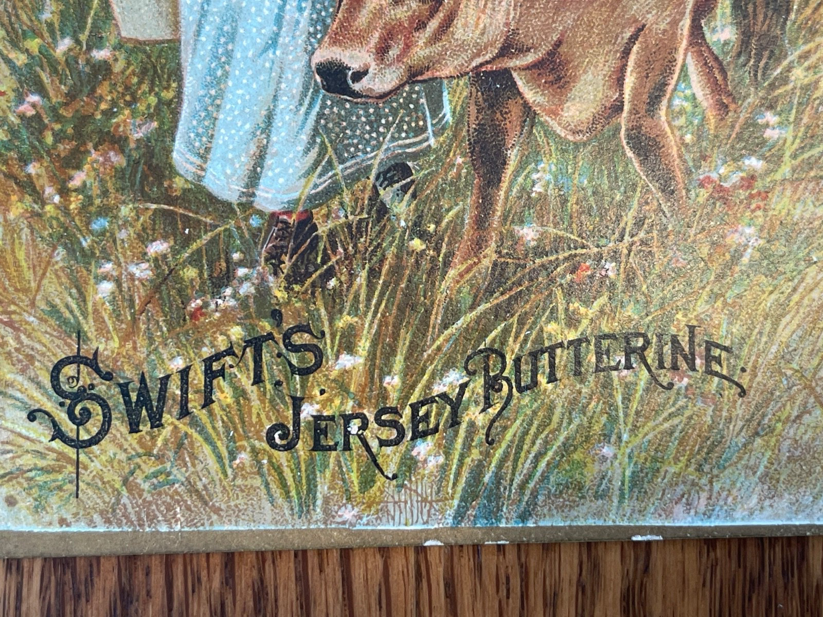 Swift&rsquo;s Jersey Butterine 1880s Advertising Card, Union Stock Yards, Chicago