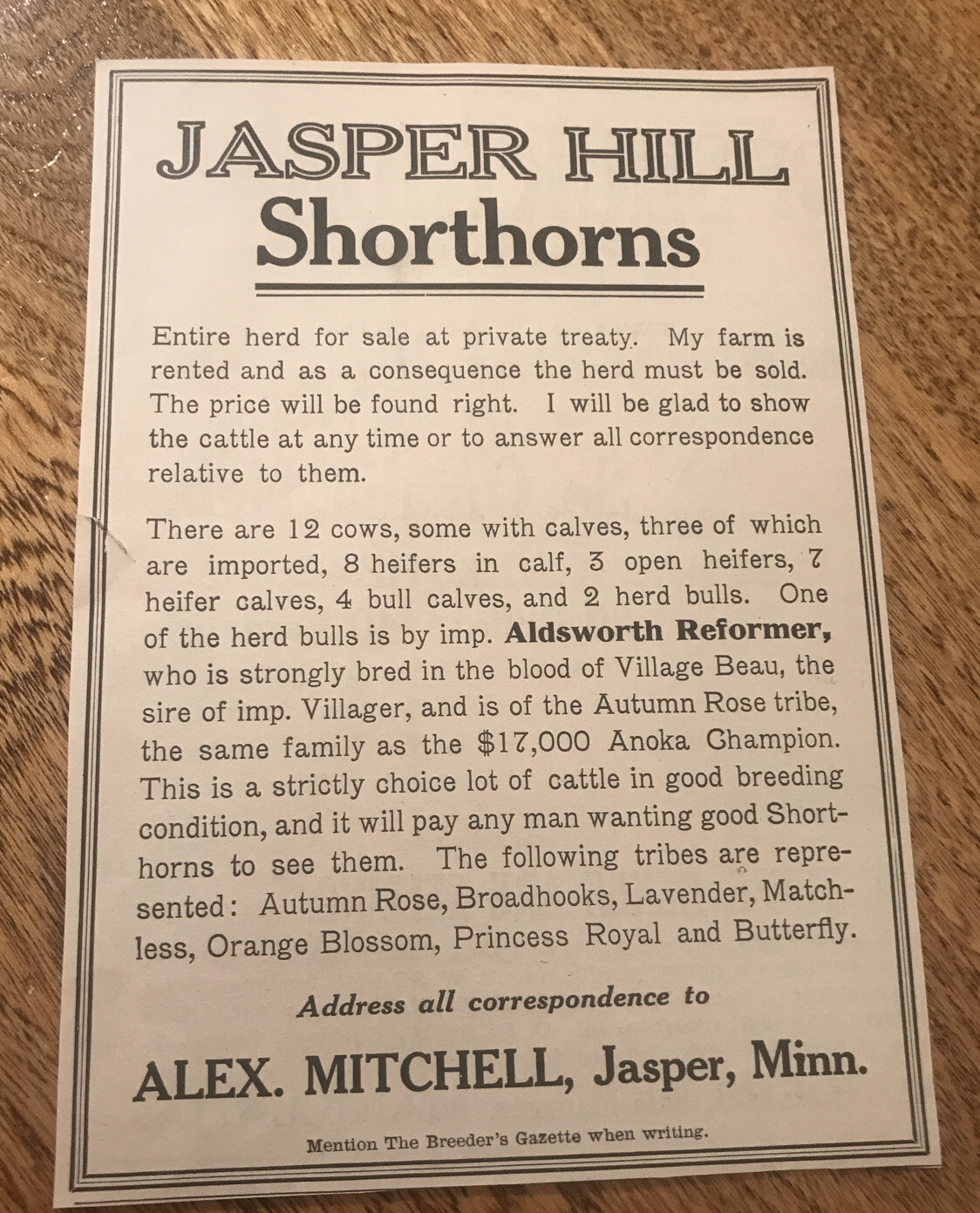 1918 Shorthorn Cattle Public Sale – Jasper – Minnesota – Cow Farm Advertising