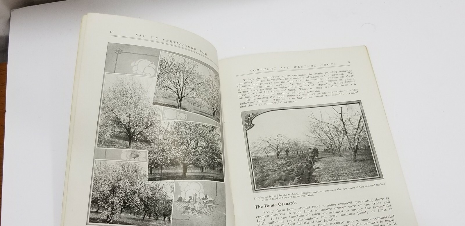Vintage 1921 Advertising Pamphlet APPLE GROWING Virginia Carolina Fertilizer