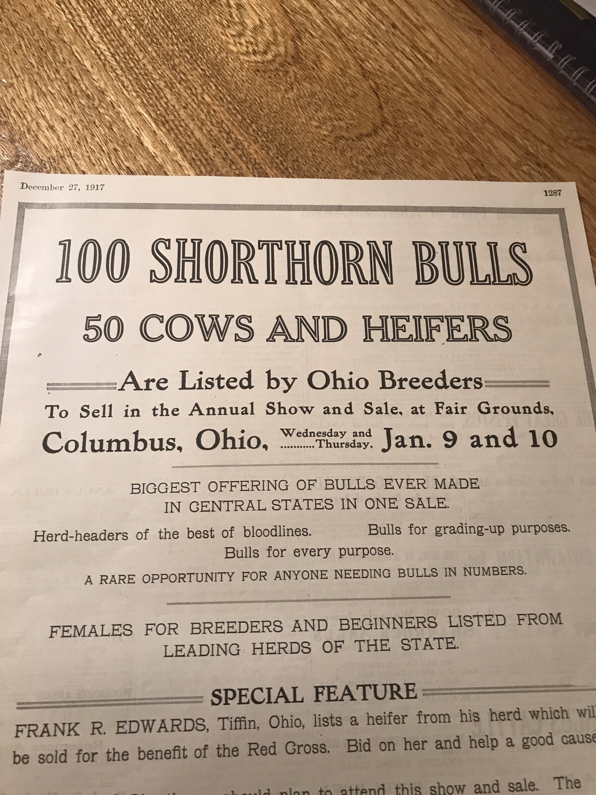 1917 Cattle Livestock Public Sale Poster – Columbus – Ohio – Cow Advertising