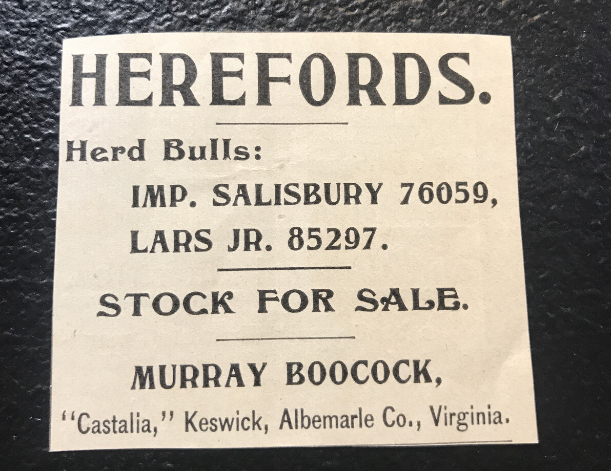 1902 Murray Boocock – Farm Cattle Advertising – Keswick – Virginia – Cow