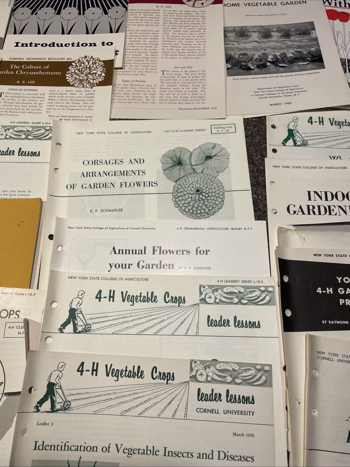 Large Lot Vintage 4H And Cornell Cooperative Extension Gardening Brochures.