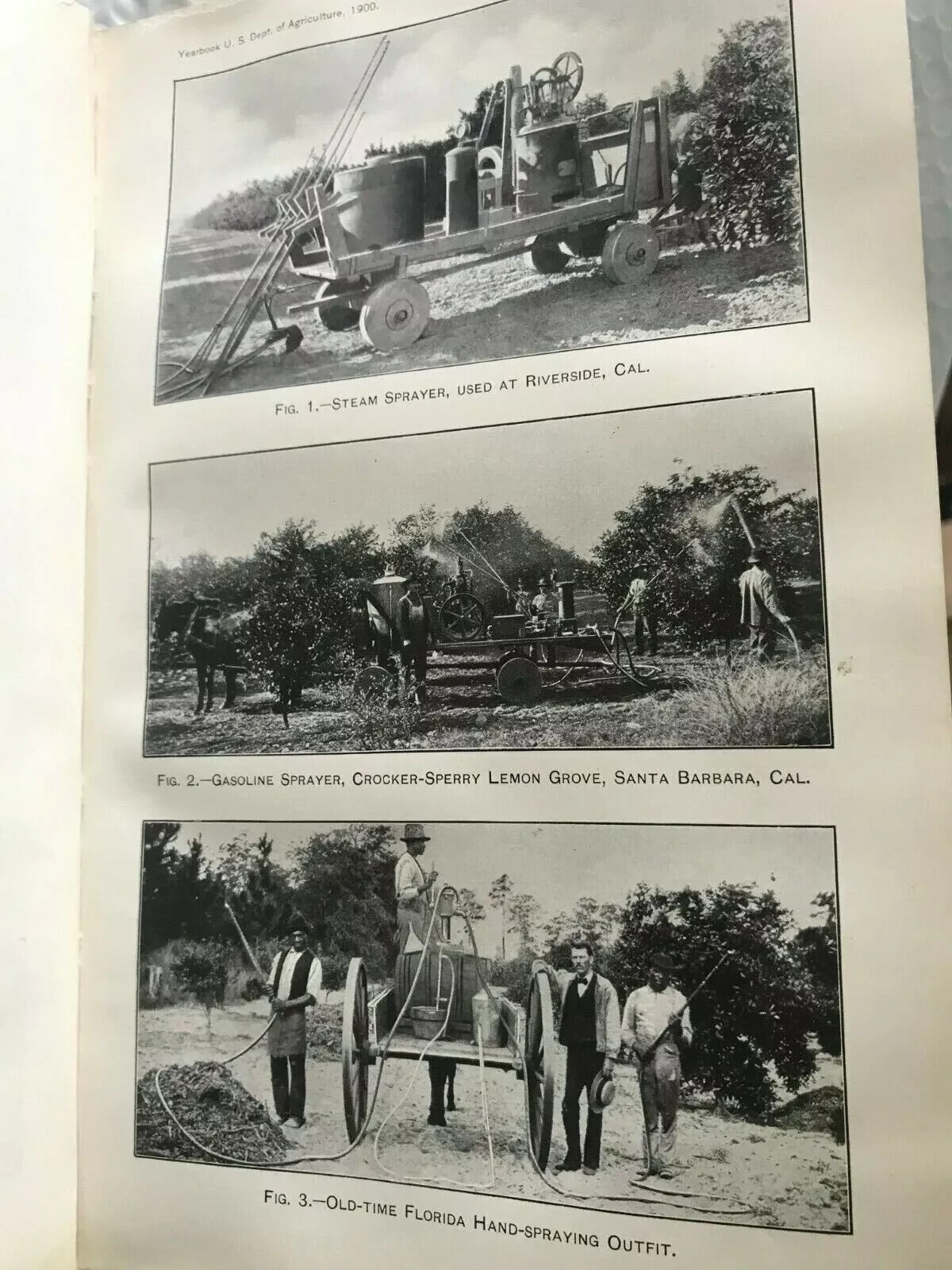 DEPARTMENT OF AGRICULTURE 1900 YEARBOOK WITH GRAPHS PHOTOS VINTAGE VERY RARE