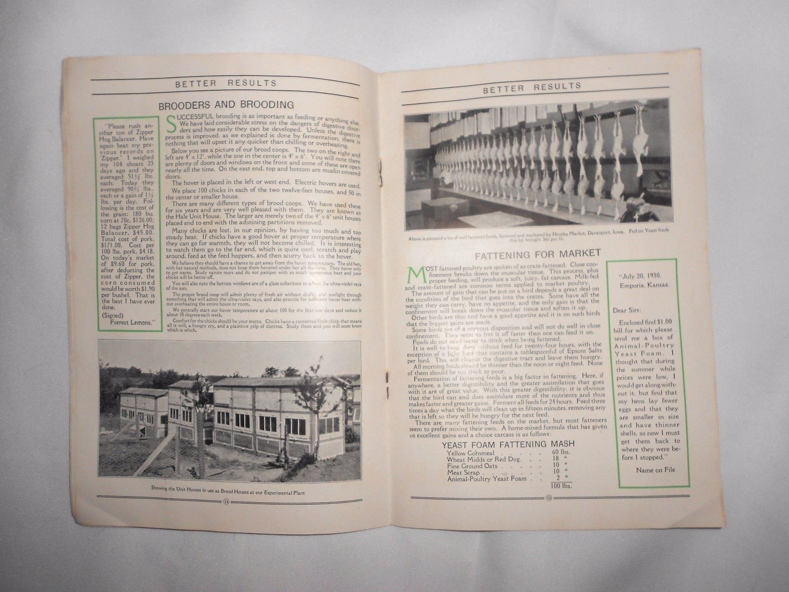 Vtg 1930 Northwestern Yeast Co Chicago Farm Advertising Chickens Pigs Booklet