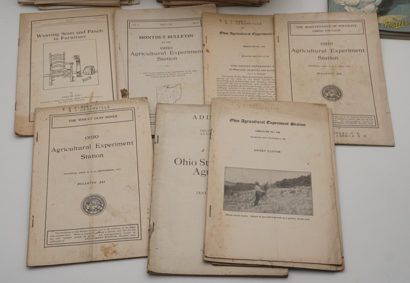 Huge Lot Early 1900s Agricultural Farming Livestock Pamphlets Literature Vintage