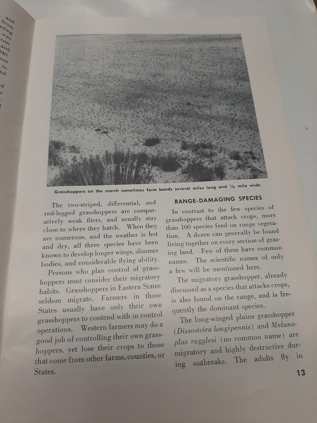 ***VINTAGE 1954 FARMERS&rsquo; BULLETIN 2064 Grasshoppers ***U.S.D.A.