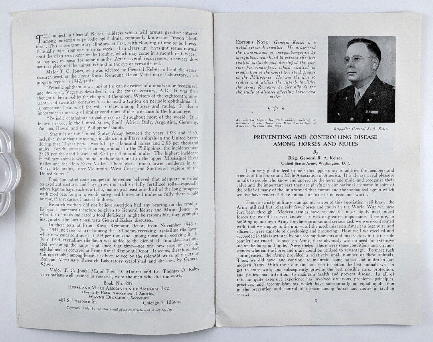 1946 Horse And Mule Association Brochure Preventing And Controlling Diseases