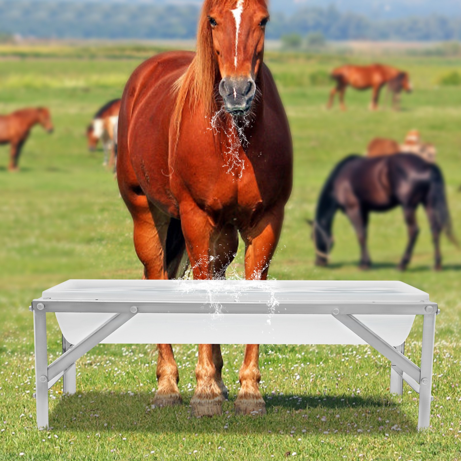 Livestock Feed Trough, Long Large Capacity Feeder, Feed Trough with Stand