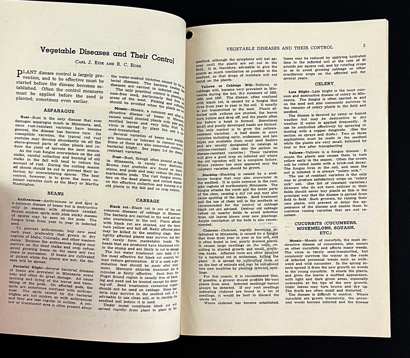 1943 Control Vegetable Diseases Gardening Vintage Farmer&rsquo;s Extension Pamphlet