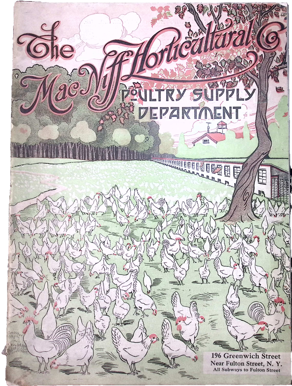 1924 Mac Nigg Horticulture Poultry Chickens Supply Department Catalog NYC NY