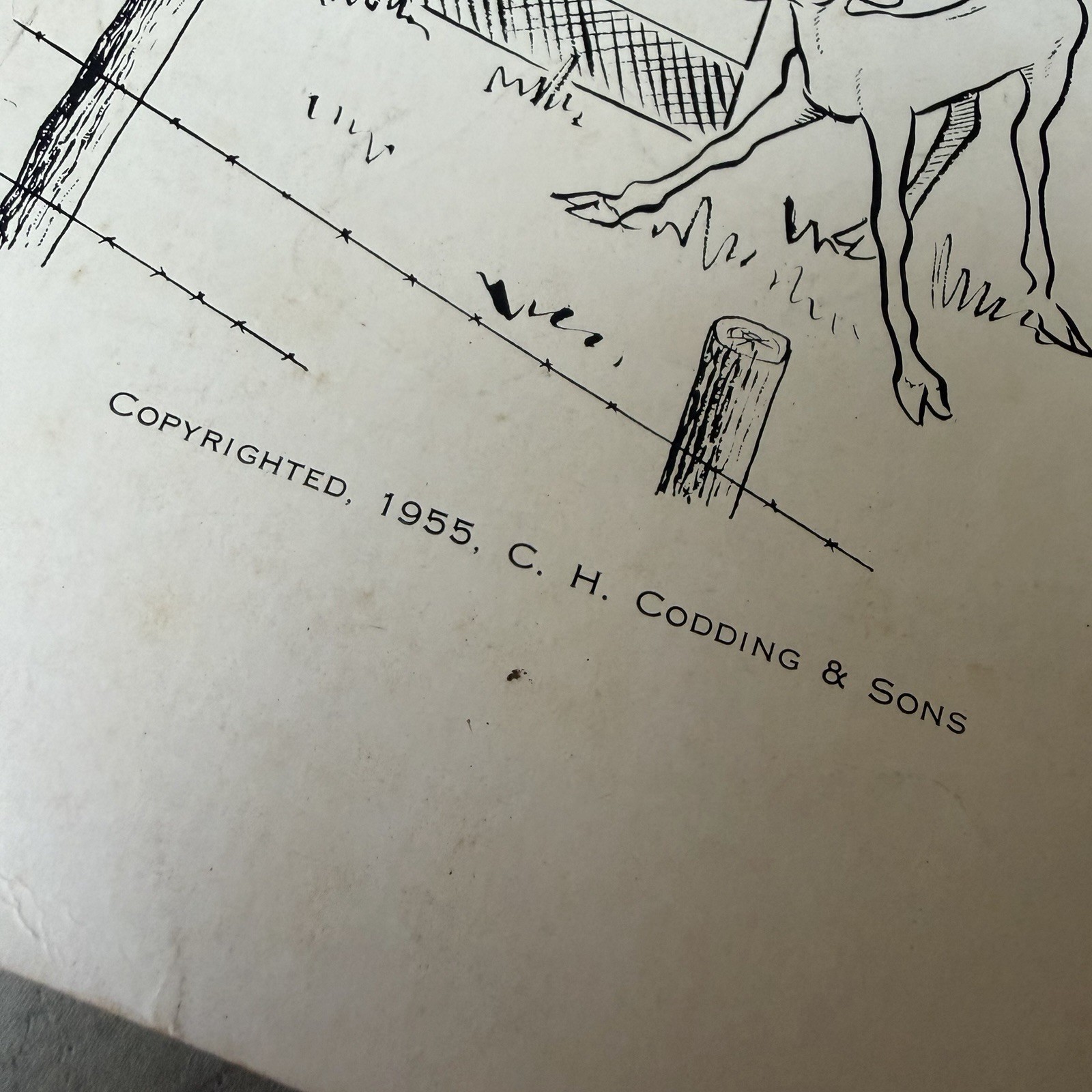 Production Testing Pamphlet Beef Cattle Farming Oklahoma 1955 Codding & Sons