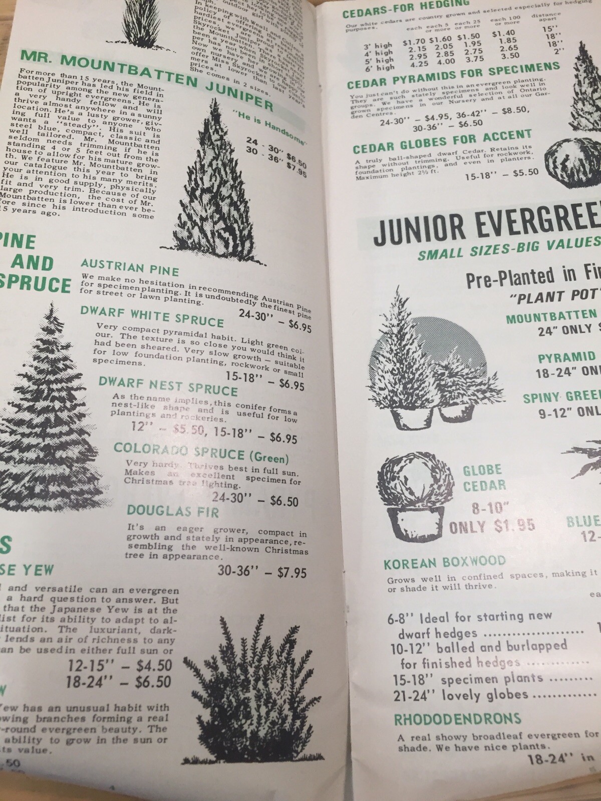 Weall And Cullen Nurseries, Vintage Spring Plant Gardening Brochure Catalogue M1