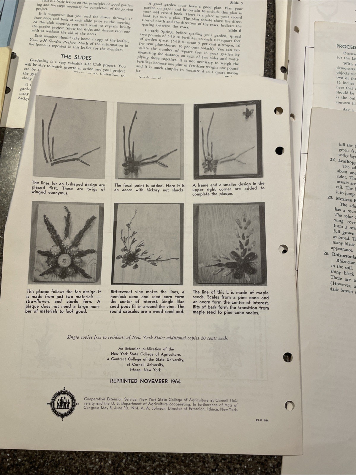 Large Lot Vintage 4H And Cornell Cooperative Extension Gardening Brochures.