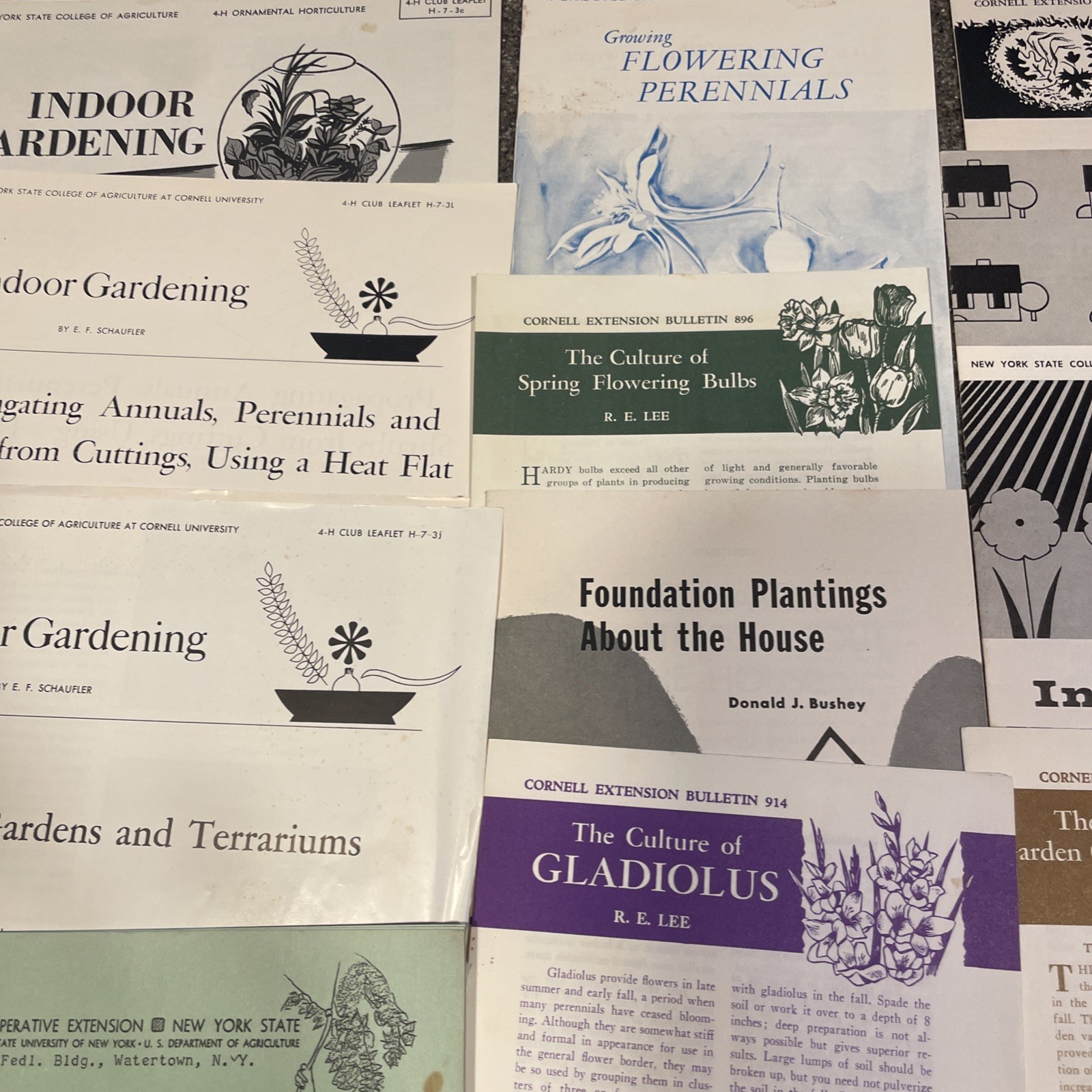 Large Lot Vintage 4H And Cornell Cooperative Extension Gardening Brochures.