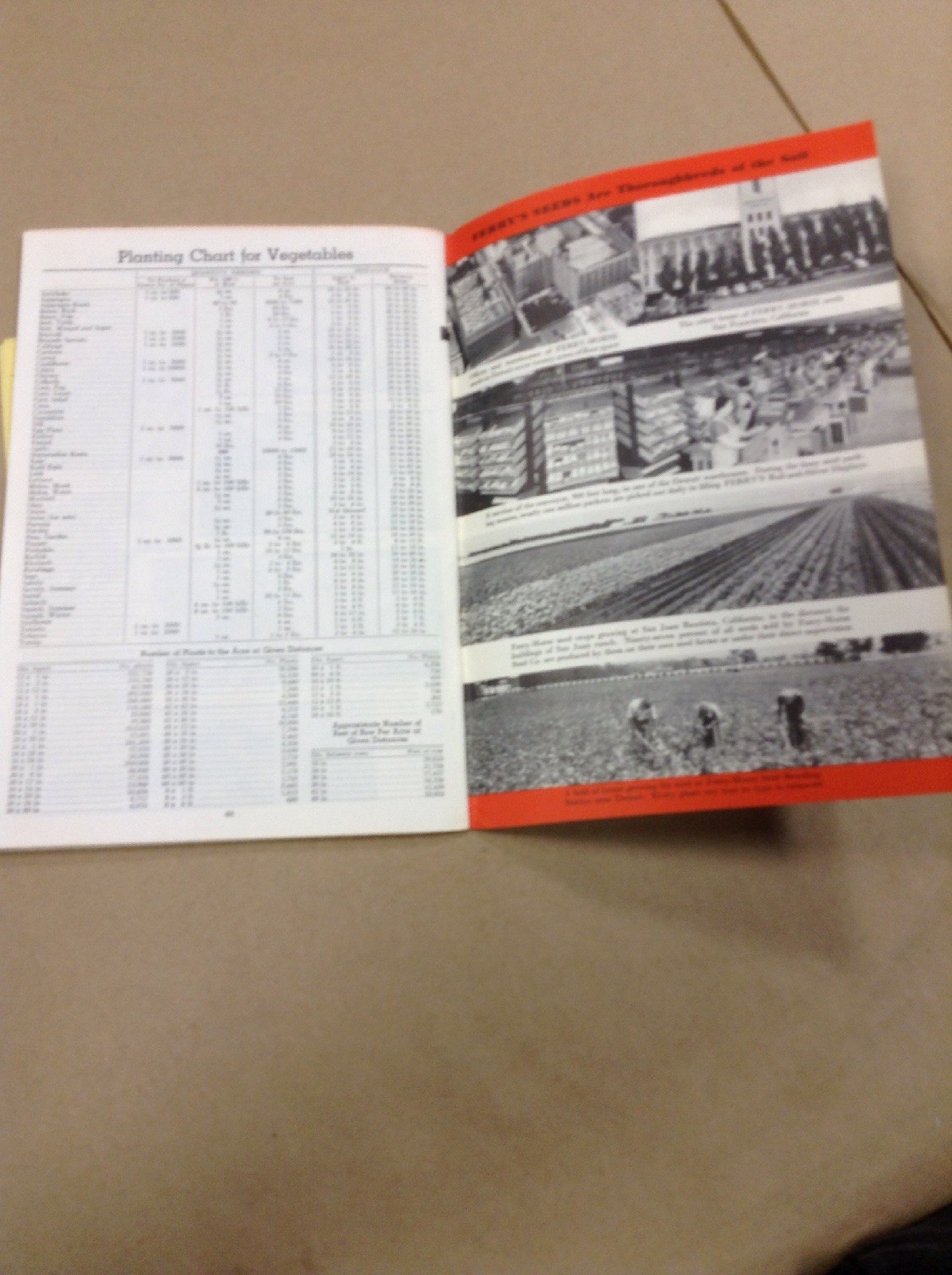Ferrys home garden guide INV-P1122