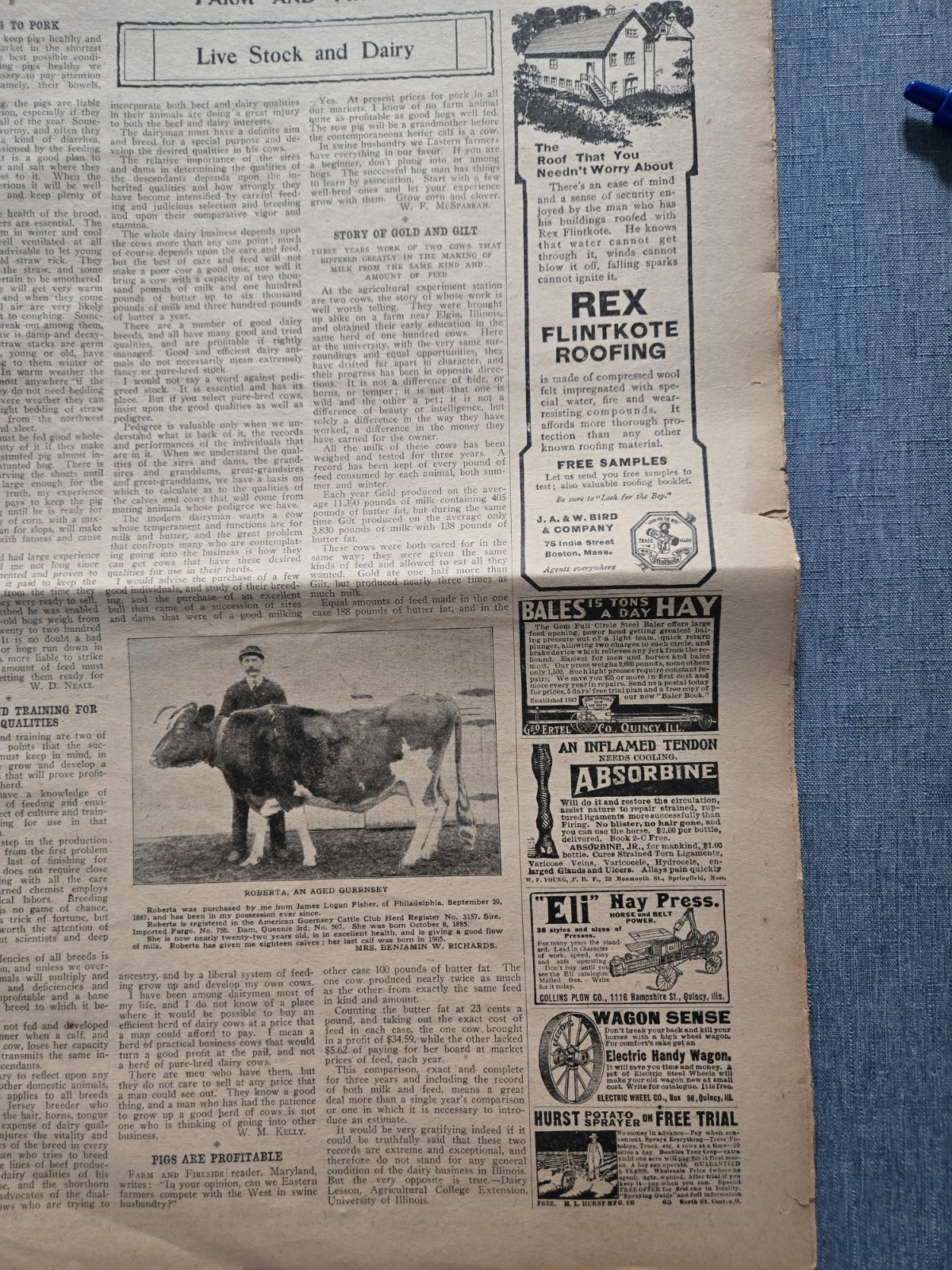 Farm & Fireside Newspaper – Antique Agriculture 1907 Articles Ads Illustrations