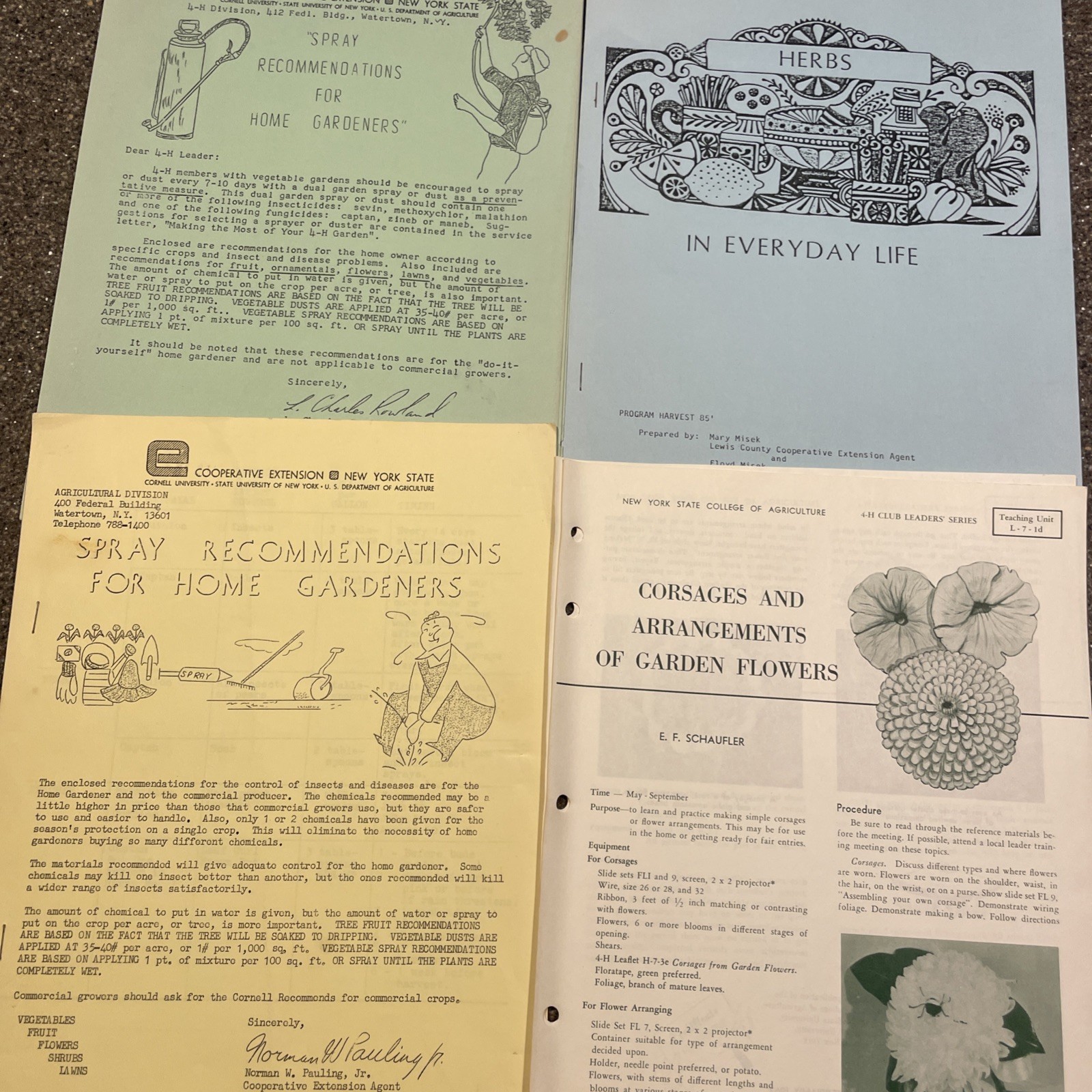 Large Lot Vintage 4H And Cornell Cooperative Extension Gardening Brochures.