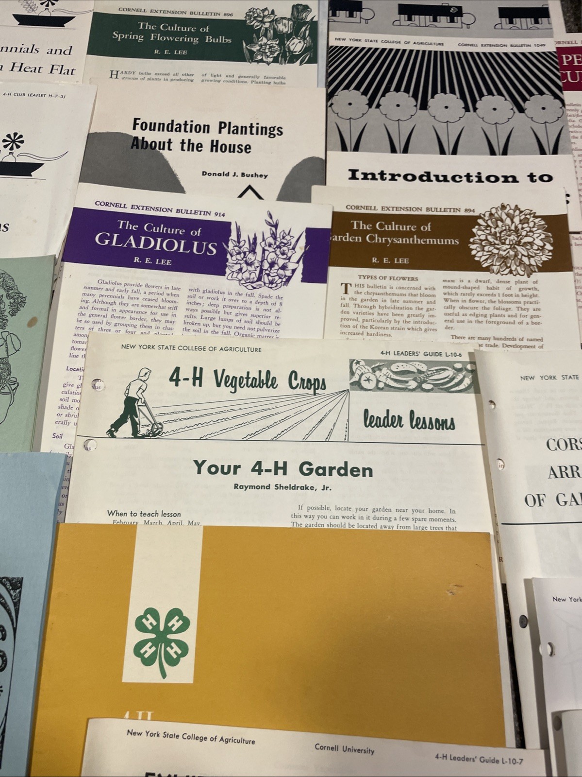 Large Lot Vintage 4H And Cornell Cooperative Extension Gardening Brochures.