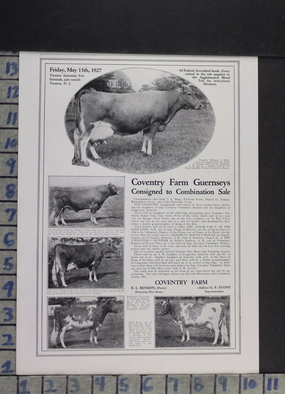 1927 COVENTRY FARM COW AGRICULTURE GUERNSEY BOVINE PRINCETON VINTAGE AD DJ69